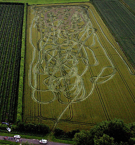 corn field driver on coke