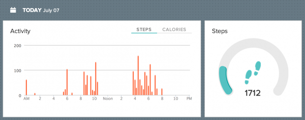 Bunki 2013-07-07 Fitbit