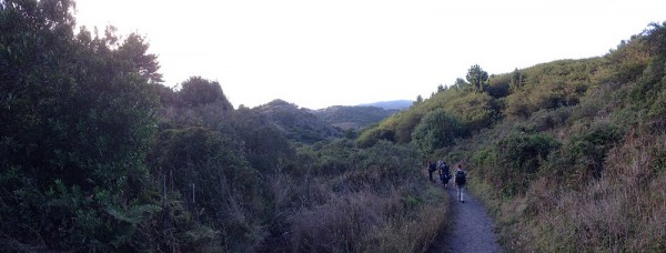 Laguna trail around sunset