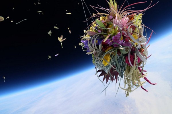 makoto-azuma-EXOBIOTANICA-BOTANICAL-SPACE-FLIGHT-3