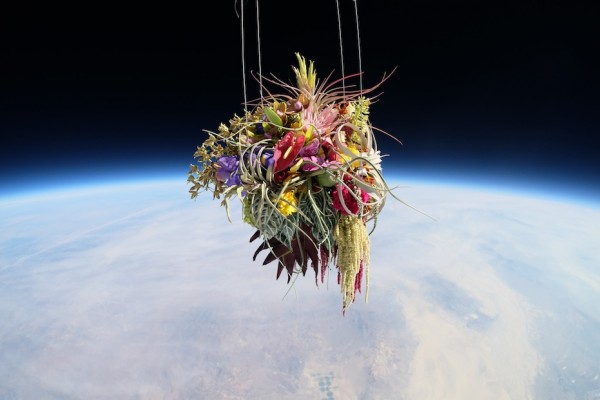 makoto-azuma-EXOBIOTANICA-BOTANICAL-SPACE-FLIGHT-6